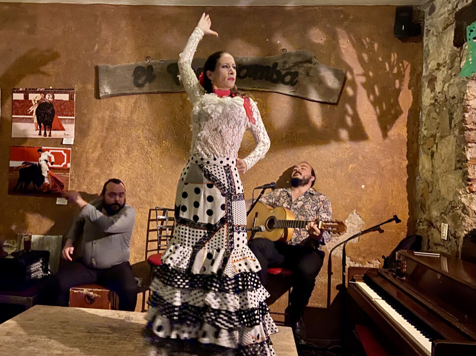 Show de flamenco y música en vivo